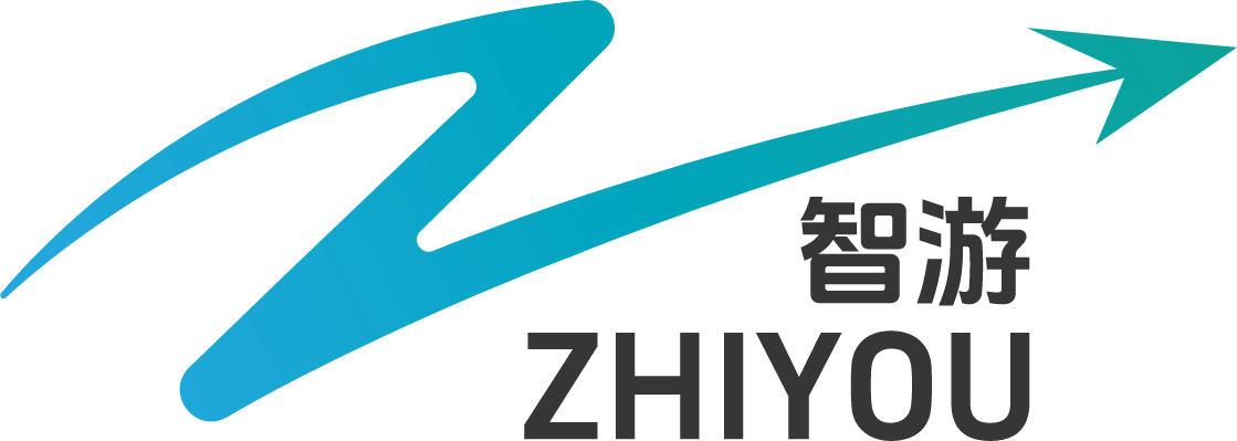 智游国际